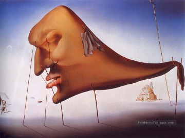 Salvador Dali Painting - Sleep Salvador Dali